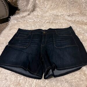 Lane Bryant NWOT denim shorts size 22. sk0008926
